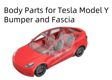 The Body Parts List and Catalogue for Tesla Model Y